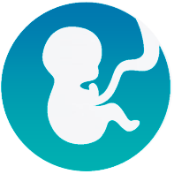 Obstetricia